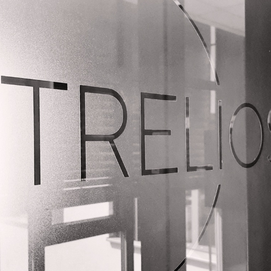 trelios seo agentur logo hannover